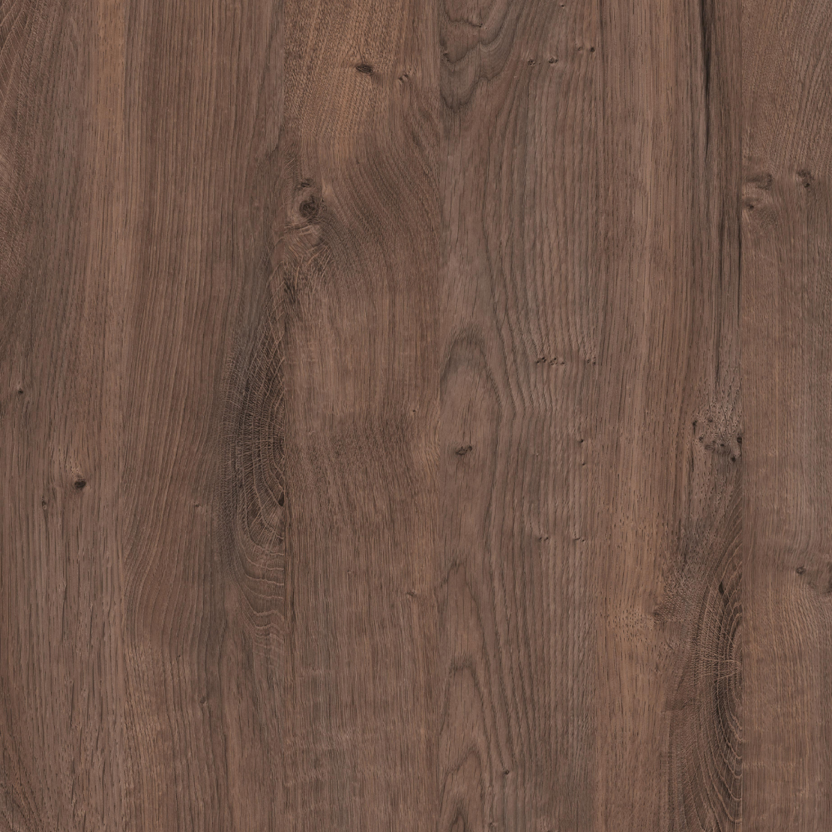 Aukšta spintelė | Wild Oak Brown 3231